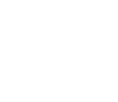 Sponsors