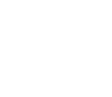 Sponsors