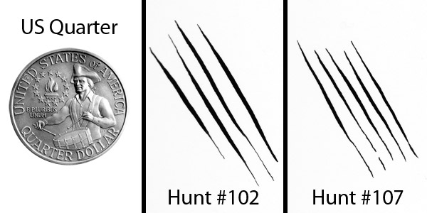 A Hunt #102 and #107 with US quarter for size comparison. Both quills were pushed to near-breaking point for maximum line width.